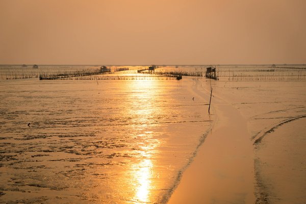 Voyages De Patrimoine